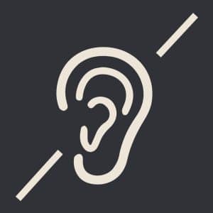 rika pellet stove quiet logo