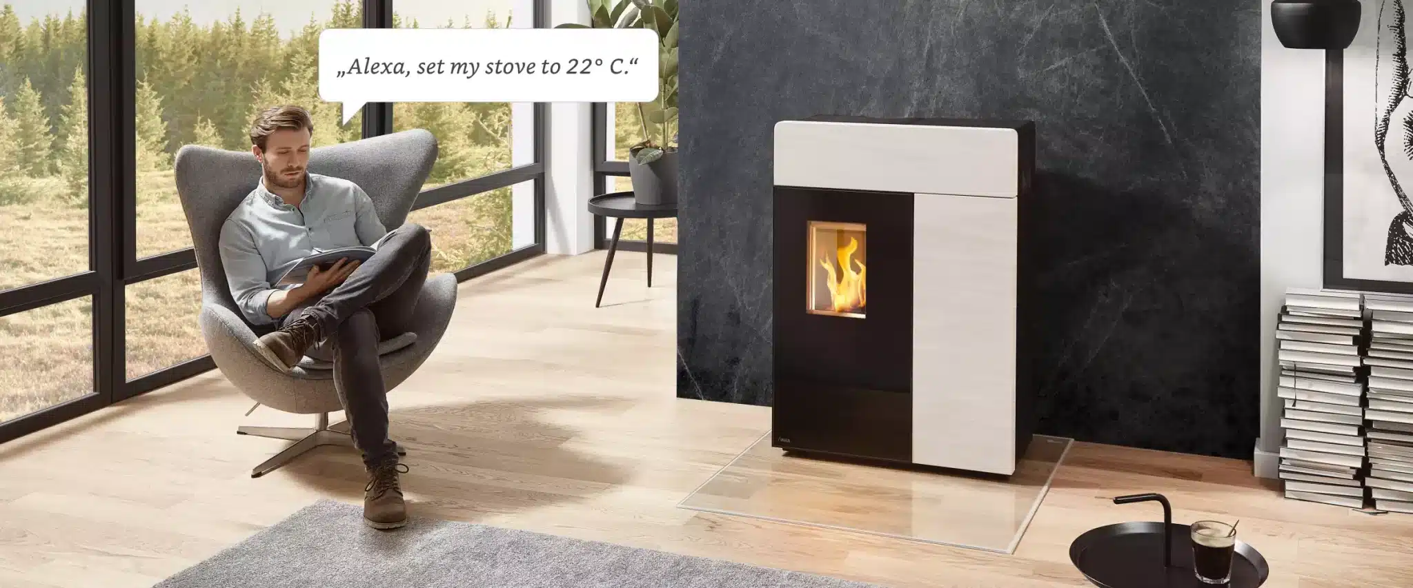 Pellet stove controlled by voice